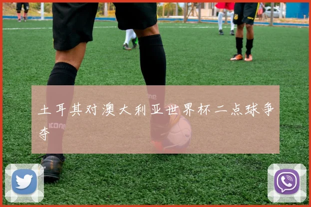 土耳其对澳大利亚世界杯二点球争夺