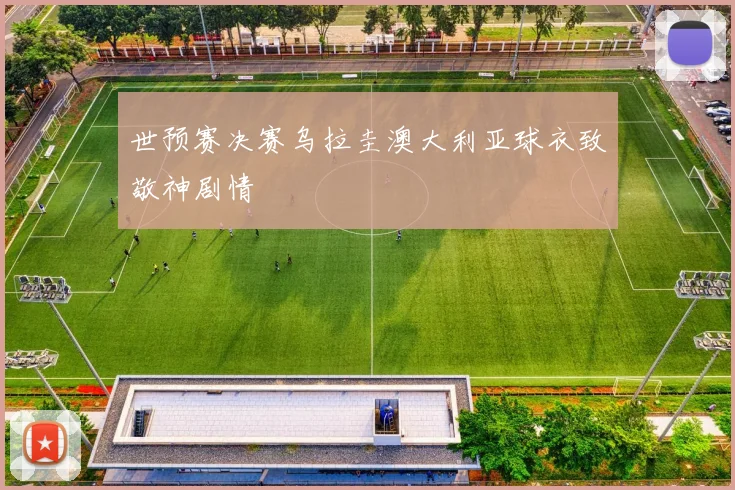 世预赛决赛乌拉圭澳大利亚球衣致敬神剧情
