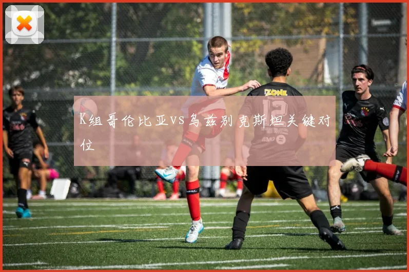 K组哥伦比亚vs乌兹别克斯坦关键对位