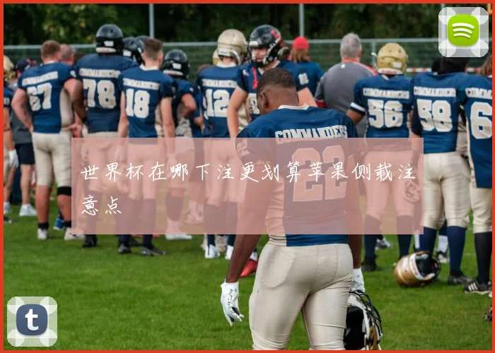 世界杯在哪下注更划算苹果侧载注意点