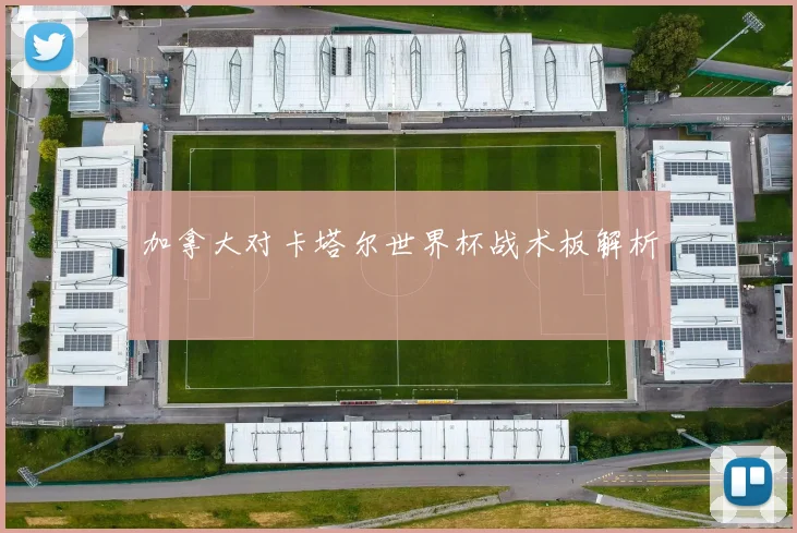 加拿大对卡塔尔世界杯战术板解析