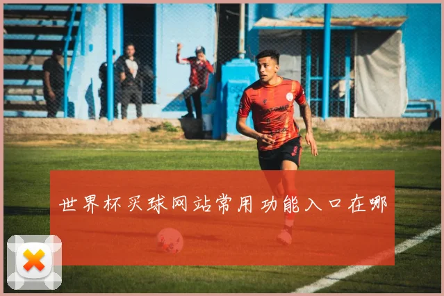 世界杯买球网站常用功能入口在哪